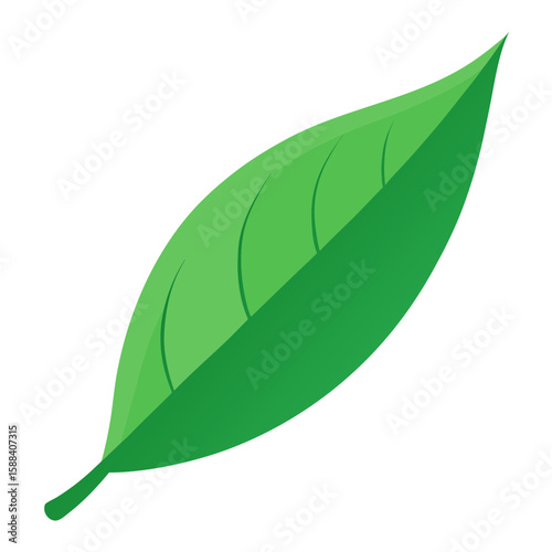Simple Green Leaf: A vibrant illustration of a single green leaf, a symbol of nature's purity, standing out on its own. 