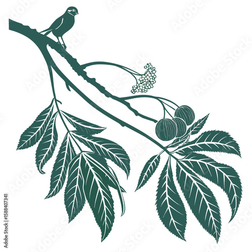 A Bird on a Branch: An artistic portrayal of a songbird perched on a branch of a tree, with intricate leaf and fruit details, rendered in elegant, monochromatic style. A delicate depiction of nature.
