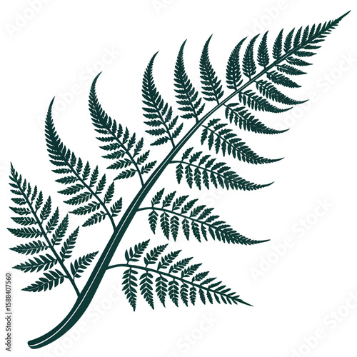 Fern's Botanical Elegance: A botanical illustration showcases the delicate beauty of a fern leaf, rendered in elegant detail. A perfect addition for any design.