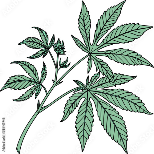 Cannabis leaf illustration isolated on white background