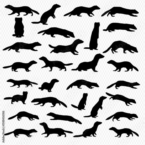 A collection of black silhouette illustrations depicting various poses and positions of ferrets against a transparent background.