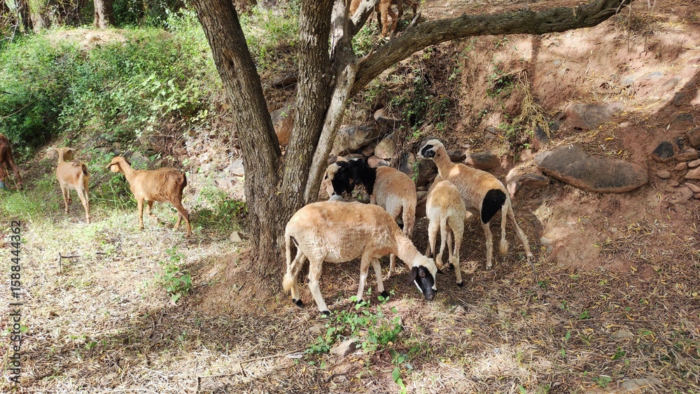 Rural Morocco: The Hidden Charms of Ouirgane Rural Morocco: The Hidden Charms of Ouirgane
