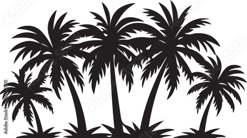 palm tree silhouette isolated