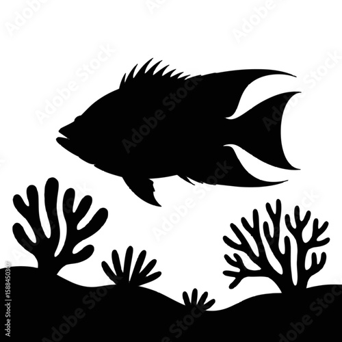 Angelfish swimming above coral marine life underwater