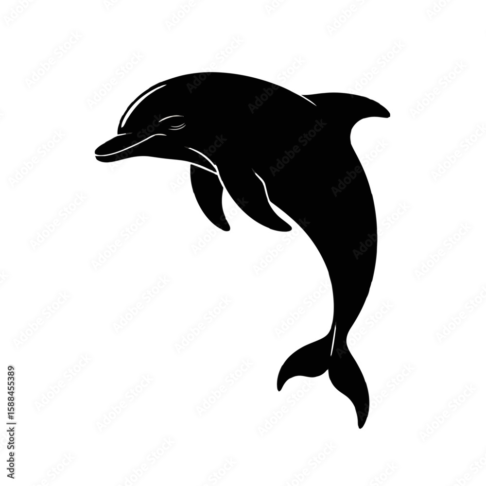 Fototapeta premium Leaping Dolphin marine mammal ocean