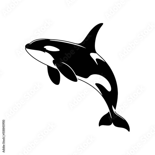 Orca Whale Leaping killer whale marine mammal
