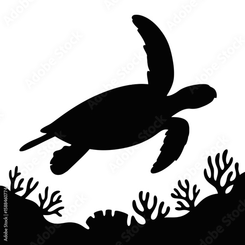 Sea Turtle Swimming Above Coral ocean underwater