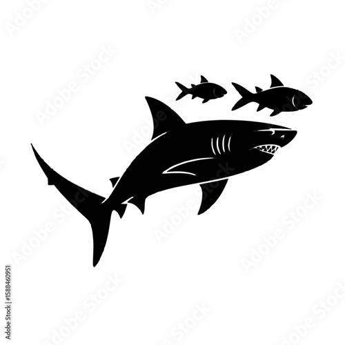 Shark Hunting Small Fish predator prey
