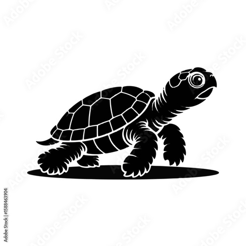 Young Turtle Walking reptile shell