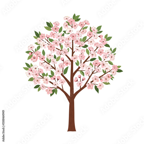 Illustration of a blossoming cherry tree with pink flowers and green leaves, concept for architecture design, landscape design and tree element for environment and garden