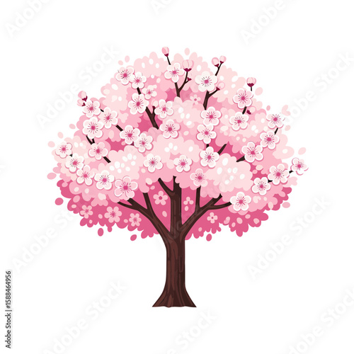 Isolated flowering cherry blossom tree illustration with pink blooms and brown trunk, concept for architecture design, landscape design and spring botanical element for environment and garden.