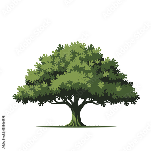 Illustration of a lush green oak tree with a thick trunk and full canopy, concept for architecture design, landscape design and nature preservation.