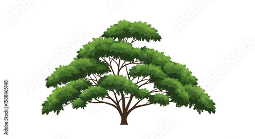 Illustration of a Jacaranda tree with dense green foliage and a visible trunk, concept for architecture design, landscape design and tree element for environment and garden