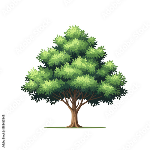 Illustration of a lush green tree with a dense canopy against a plain white background, concept for architecture design, landscape design and tree element for environment and garden