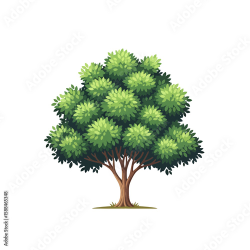Illustration of a lush green ficus tree with a rounded crown and brown trunk, concept for architecture design, landscape design and tree element for environment and garden