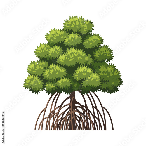 Illustration of a mangrove tree with its characteristic prop roots and green foliage, concept for architecture design, landscape design, tree element for environment and garden