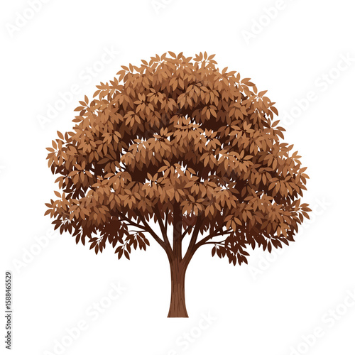 Isolated deciduous tree illustration with brown foliage and slender trunk, concept for architecture design, landscape design and tree element for environment and garden