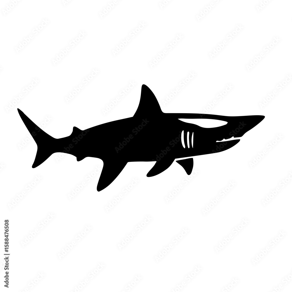 Fototapeta premium shark vector illustration