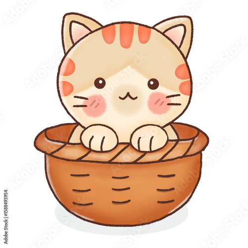 Cute little orange cat in basket.