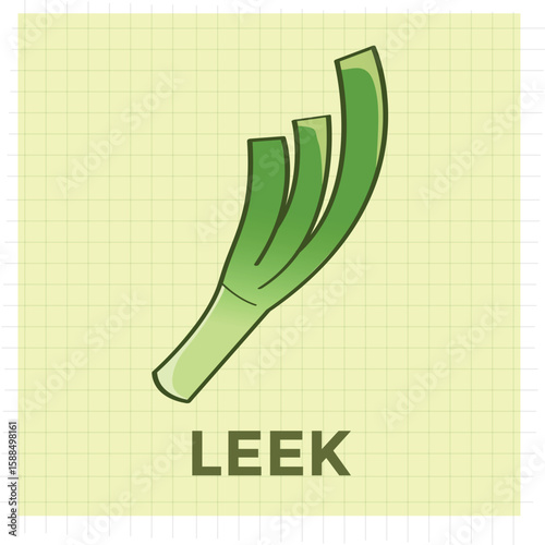 Hand-drawn doodle vector illustration of a leek