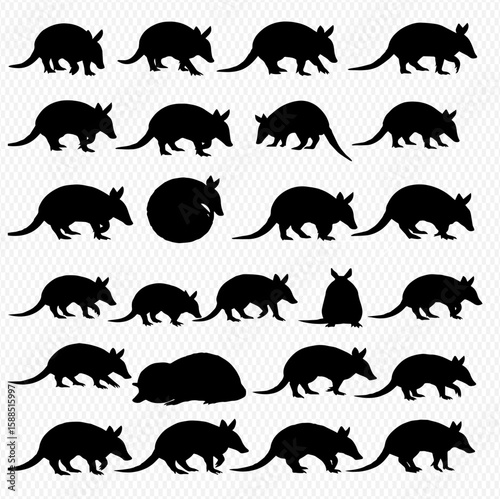 A collection of armadillo silhouettes in various poses, including walking, standing, and curled up, arranged in a grid pattern.