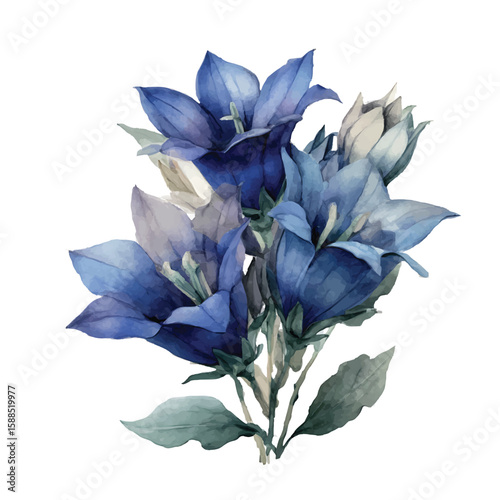 Elegant bluebell flowers watercolor illustration on transparent background png vector