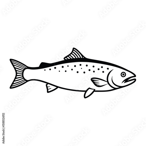 a Trout fish line art vector illustration. isolated white background