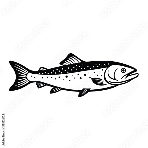 a Trout fish line art vector illustration. isolated white background