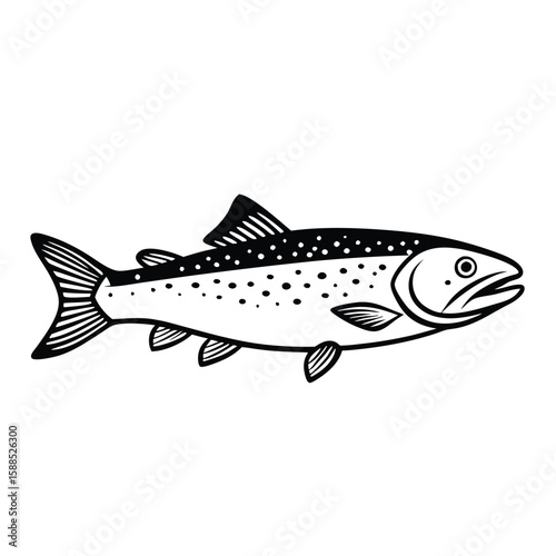 a Trout fish line art vector illustration. isolated white background