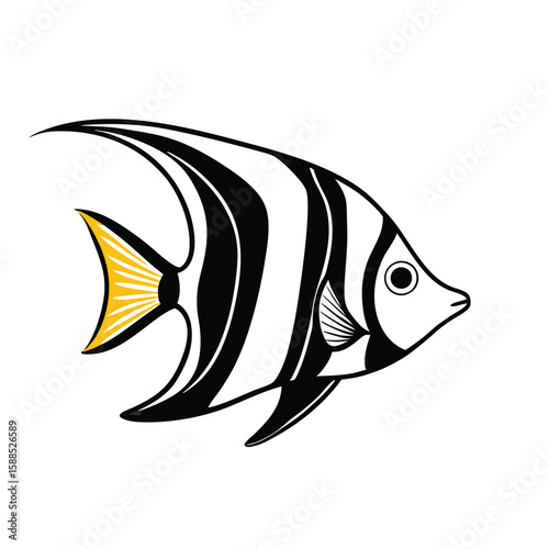 Angel Fish Stock Vector line art, isolated white background 