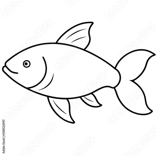 Carp fish line art illustration, isolated white background 