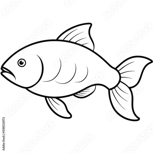 Carp fish line art illustration, isolated white background 