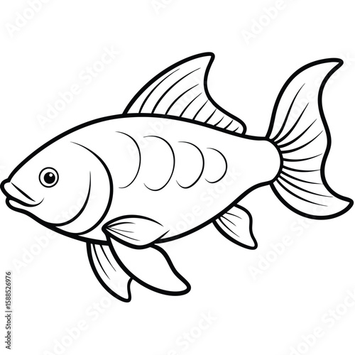 Carp fish line art illustration, isolated white background 