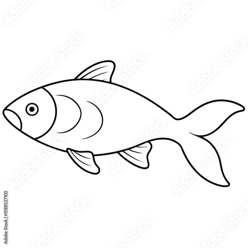Carp fish line art illustration, isolated white background 