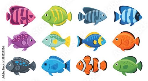 Collection of Colorful Fish