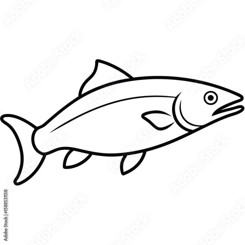Salmon fish one line art Vector, isolated white background