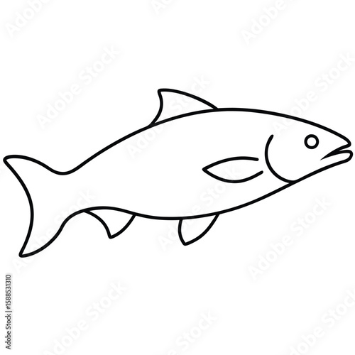 Salmon fish one line art Vector, isolated white background