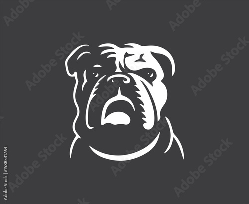 Close-up Bulldog Face Vector