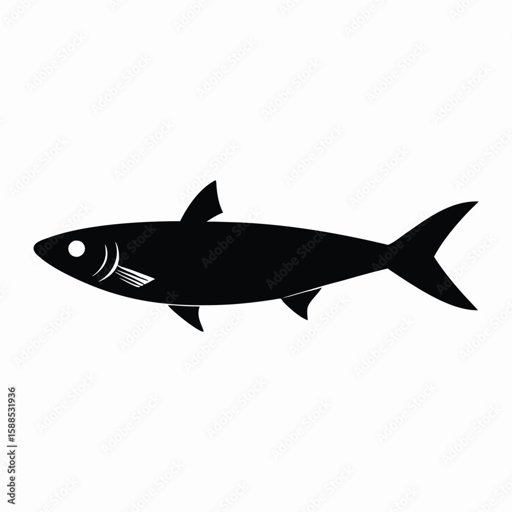 Fototapeta premium sardine fish vector illustration, isolated white background