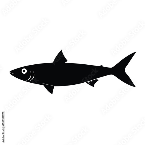 sardine fish vector illustration, isolated white background