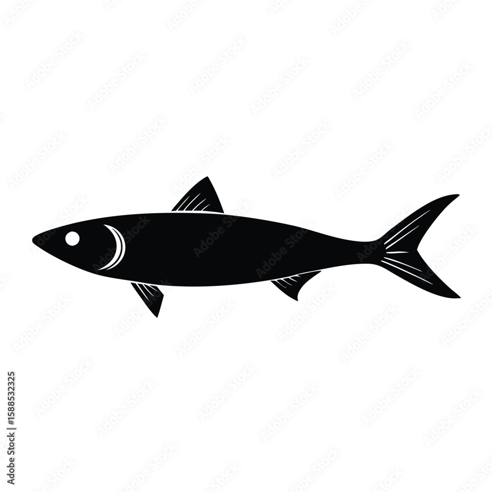 Fototapeta premium sardine fish vector illustration, isolated white background