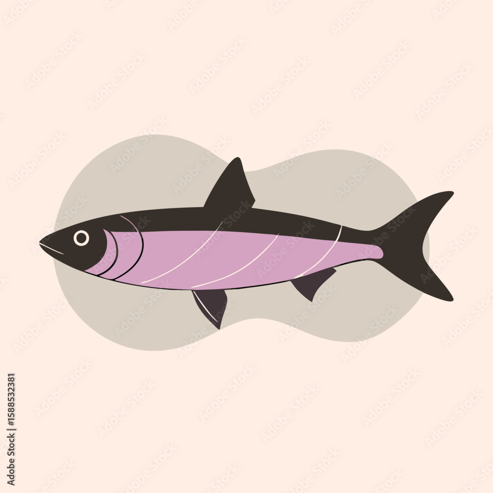 Obraz premium sardine fish vector illustration, isolated white background