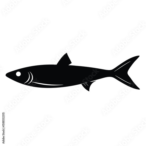 sardine fish vector illustration, isolated white background