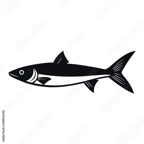 sardine fish vector illustration, isolated white background