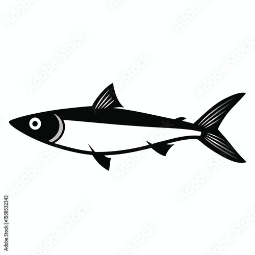 sardine fish vector illustration, isolated white background