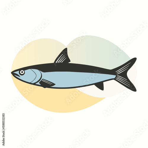 sardine fish vector illustration, isolated white background