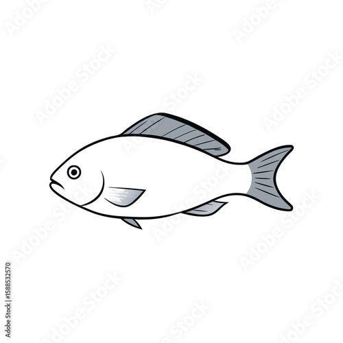Tilapia fish line art illustration, isolated white background