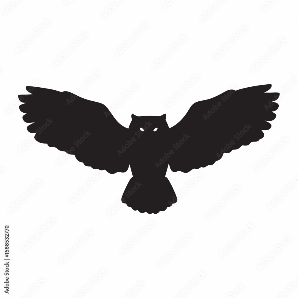Fototapeta premium eagle in flight