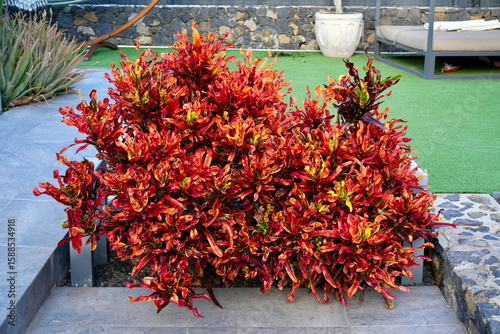 Ferienhaus in Spanien