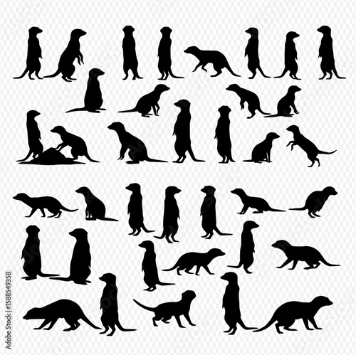 Silhouette illustrations of meerkats in various poses, including standing, sitting, lying down, and alert positions, creating a pattern of animal figures.